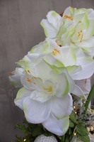 Amarylis Winter Winter w srebrnej donicy, wys.68cm