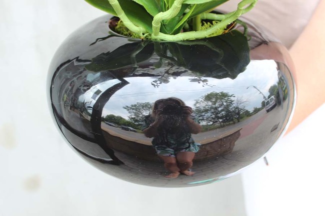 Shining Japan, elegancki storczyk w czarnej błyszczącej donicy, wys.65cm