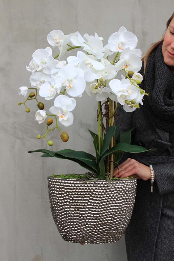 elegancki storczyk w donicy glamour, Srebrna Rezydencja, wys.72cm