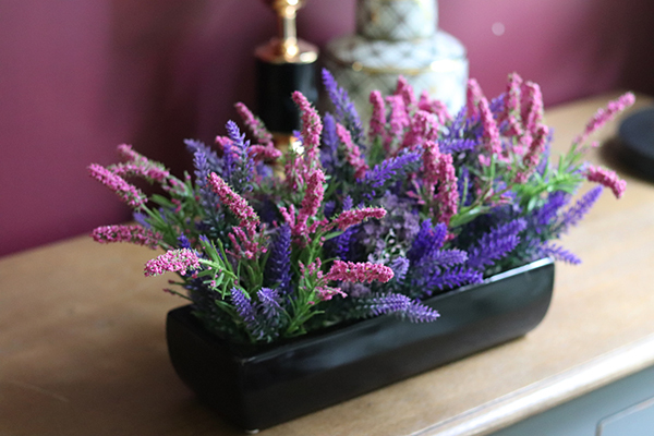 Wrzosy New, kompozycja kwiatowa w czarnej donicy, wys.21cm 