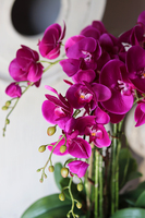 Fuksja Milena, sztuczny storczyk w błyszczącej ceramicznej donicy, wys.64cm