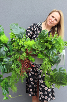 GreenViet, egzotyczna kompozycja roślinna, 1m bieżący