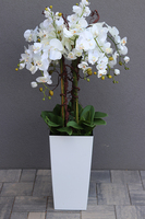 bogaty storczyk podłogowy w białej donicy, Mediolan Premium Grande, wys.119cm