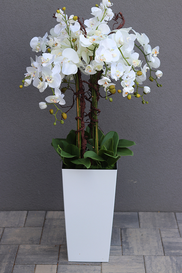 bogaty storczyk podłogowy w białej donicy, Mediolan Premium Grande, wys.119cm