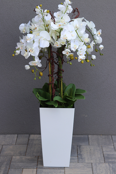 bogaty storczyk podłogowy w białej donicy, Mediolan Premium Grande, wys.119cm