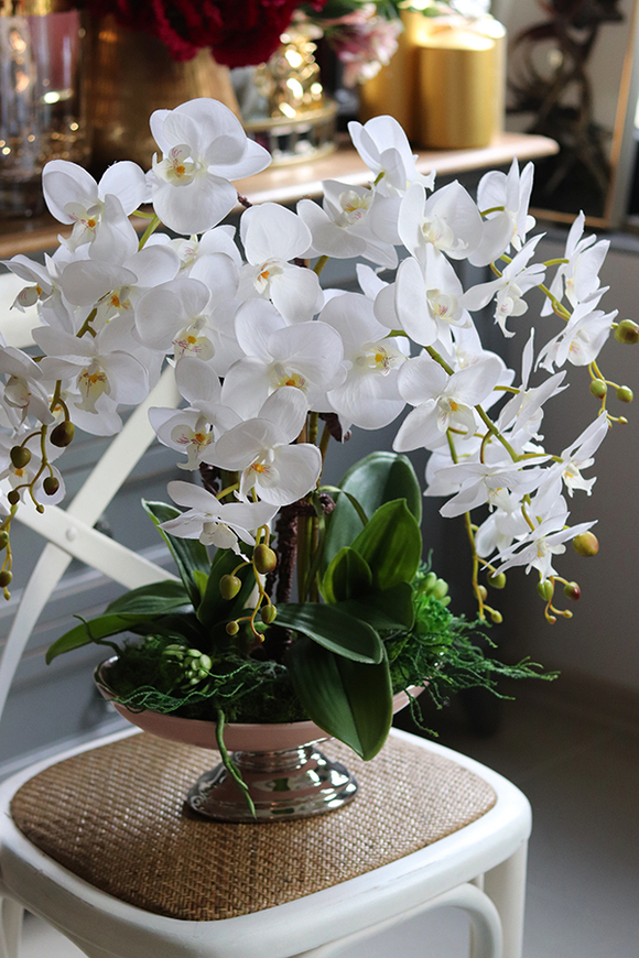 storczyk w szampańskiej donicy, Różowa Kraina, wys.61cm 