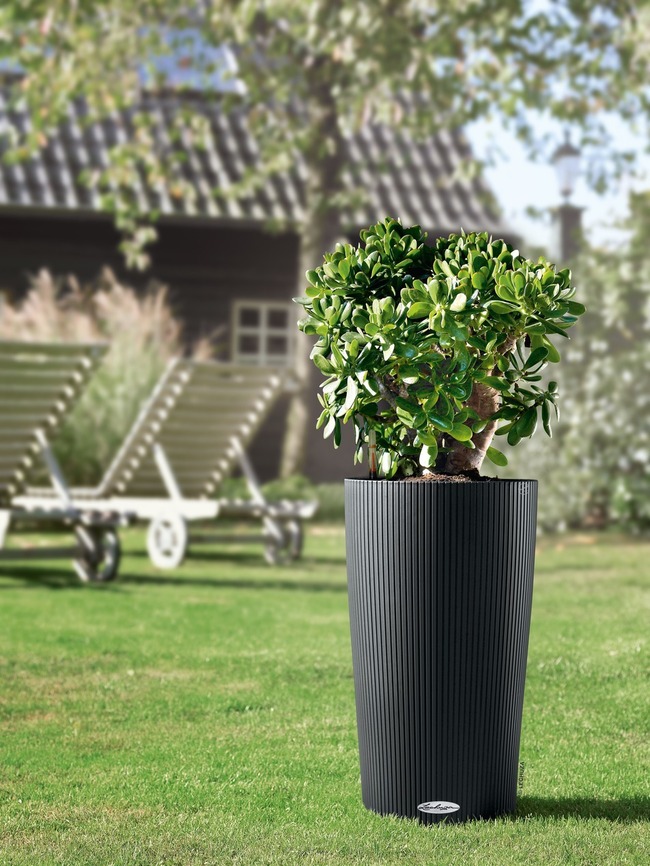 Cilindro, donica z nawadnianiem, szara, wym.56x32cm