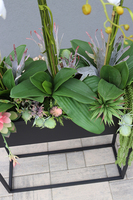 Asia Modern Resato, storczyk i sukulenty w donicy na stojaku, wym.135x75cm  