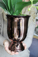 storczyk Gold II w złoto-miedzianej donicy, wys.70cm