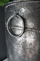 bardzo duży storczyk Grigio Grande, wys.118cm