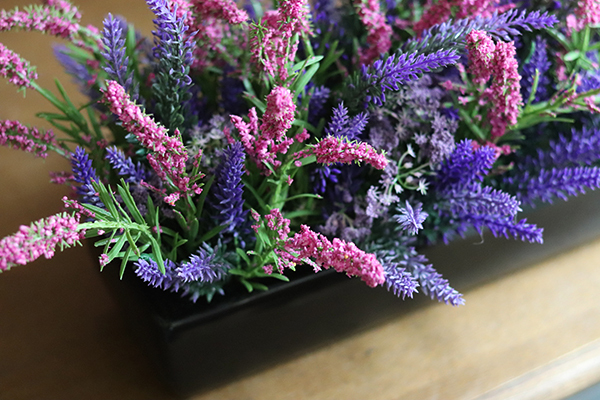 Wrzosy New, kompozycja kwiatowa w czarnej donicy, wys.21cm 