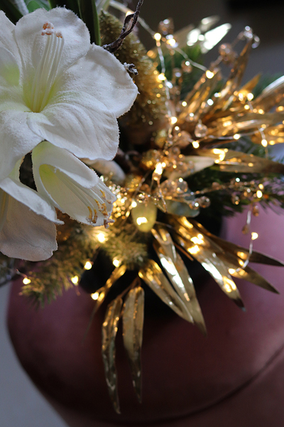 Amarylis Rezydencja Premium, świąteczna kompozycja z białym amarylisem, wys.63cm