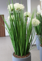 Madare Grande, wieczne trawy w szarej donicy fiberglass, wym.195cm