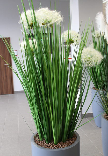 Madare Grande, wieczne trawy w szarej donicy fiberglass, wym.195cm