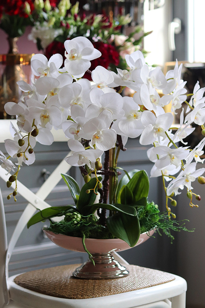 storczyk w szampańskiej donicy, Różowa Kraina, wys.61cm 