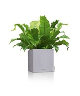 Canto Stone, elegancka donica z nawadnianiem, szara, wym.30x30cm