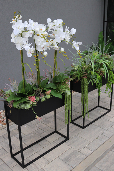 Asia Modern Resato, storczyk i sukulenty w donicy na stojaku, wym.135x75cm  