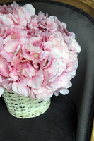 kosz różowych hortensji wys.35cm