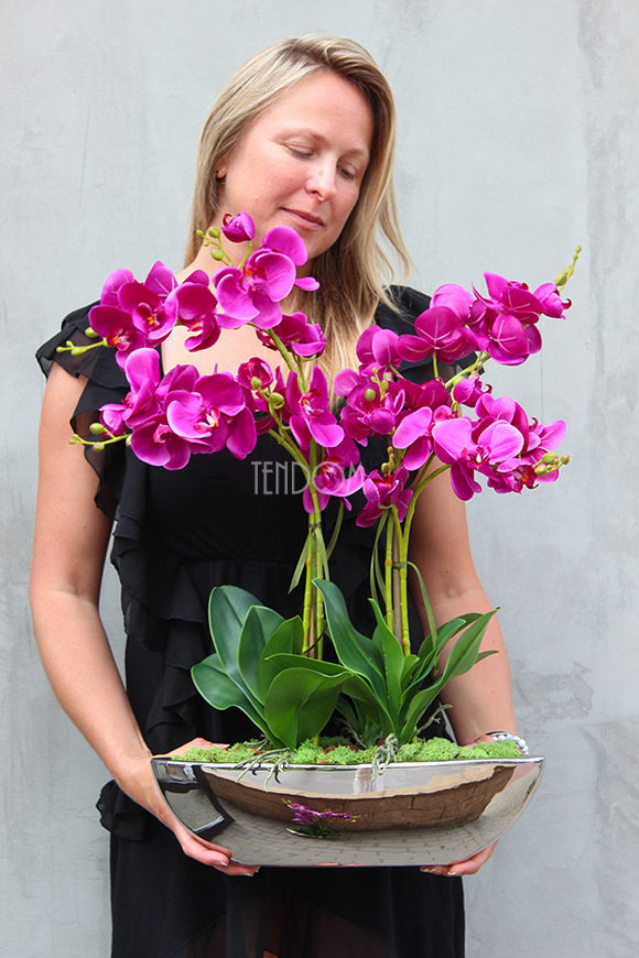 storczyk Gęsta Fuksja w lustrzanej donicy Laos wys.64cm