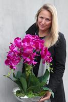 sztuczny storczyk Silver Dreams Fuksja w srebrnej, aluminiowej donicy, wys.65cm 