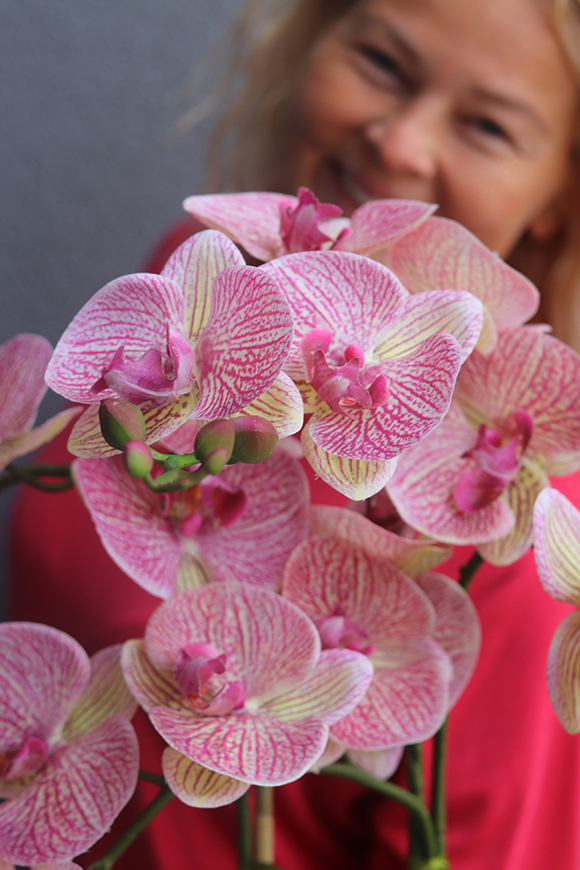 gumowy różowy storczyk w lustrzanej donicy, Felicia, wys.57cm