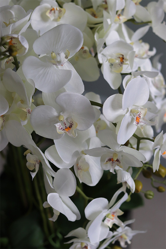 gęsty sztuczny storczyk Mediolan w czarnym wkładzie do donicy, wys.110cm