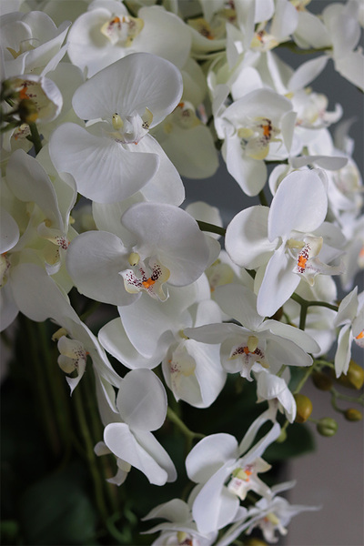 gęsty sztuczny storczyk Mediolan w czarnym wkładzie do donicy, wys.110cm