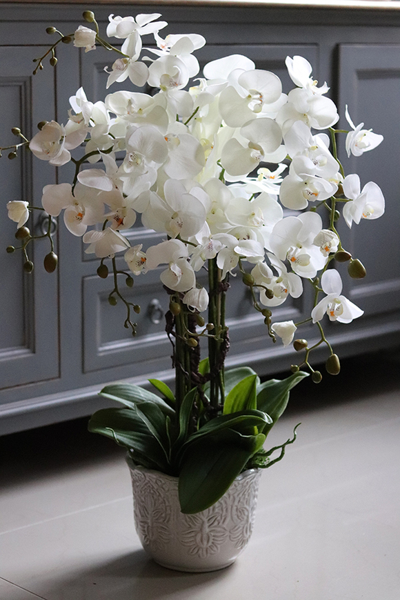 duży storczyk w ozdobnej donicy, Tedora, wys.70cm