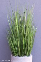 Concrete New, wysokiej jakości sztuczna trawa w betonowej donicy, wys. 175cm