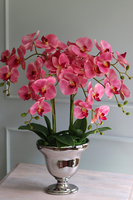 Pałacowy Róż, gumowy różowy storczyk w lustrzanej donicy, wys.68cm 