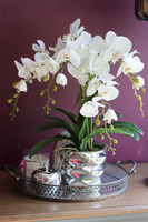 Tellonea Silver, sztuczny storczyk w lustrzanej donicy, wys.51cm