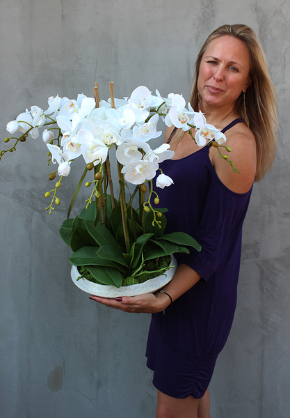 bardzo elegancki storczyk Melania, wys.60cm