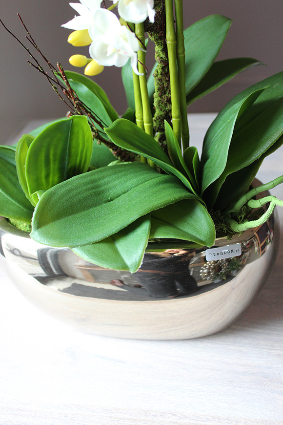 Luizjana, storczyk w delikatnie złotym lustrzanym naczyniu, wys.60cm