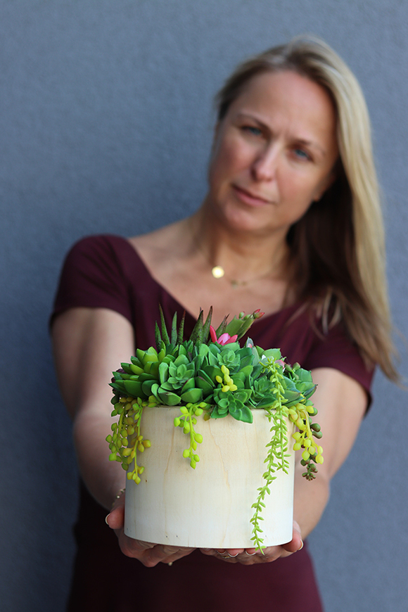 Wood, sukulenty, kompozycja ze sztucznych roślin, wys.26cm