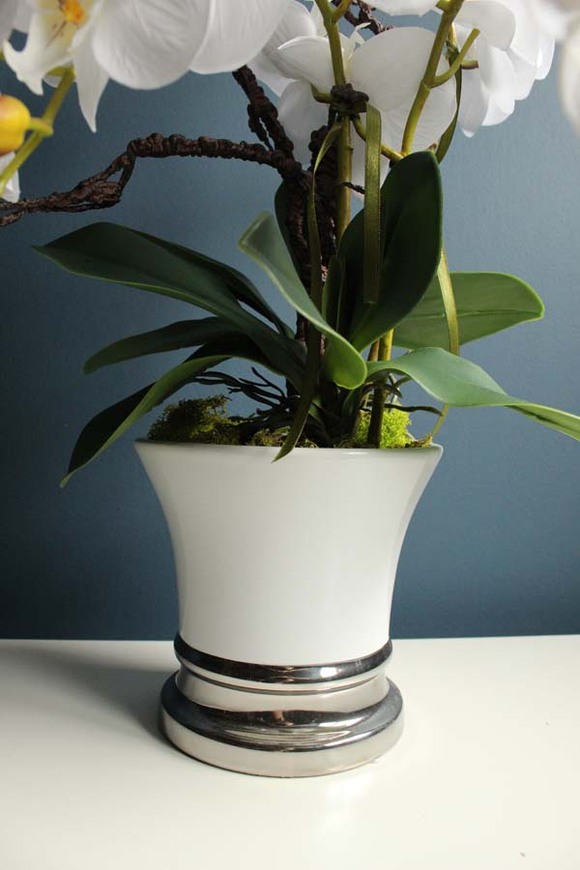 Swan, storczyk w  biało - srebrnej ceramicznej donicy, wys.52cm