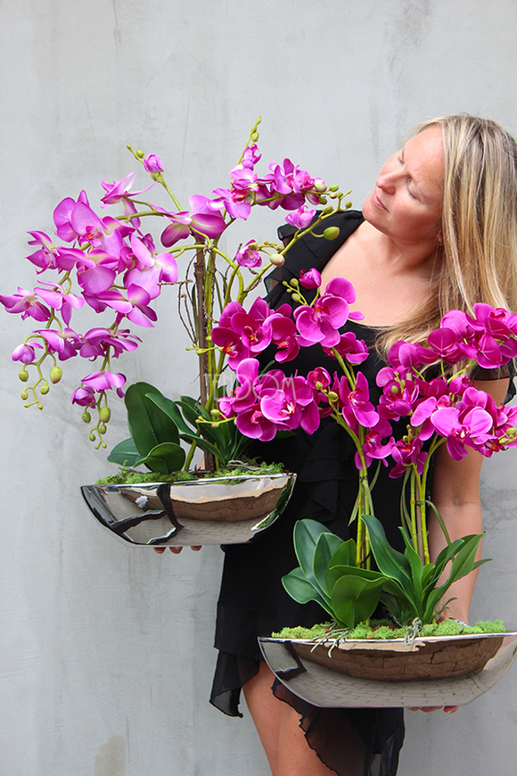 storczyk Gęsta Fuksja w lustrzanej donicy Laos wys.64cm