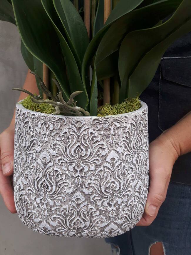 Klanassa 2, storczyk w pięknie zdobionej donicy, wys.63cm