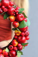 jesienny wianek Jabłkowy, śr.35cm