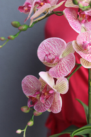 gumowy różowy storczyk w lustrzanej donicy, Felicia, wys.57cm