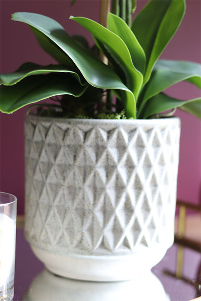 elegancki storczyk w ozdobnej donicy, Verona Moderna, wys.71cm 