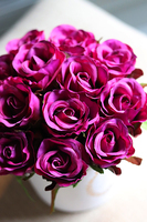 Tellane, flowerbox z drobnymi rożyczkami w kolorze fuksji, wys.20cm