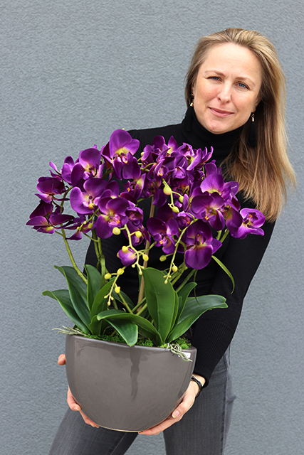 Purple Rain, fioletowy storczyk w antracytowej donicy, wys.60cm