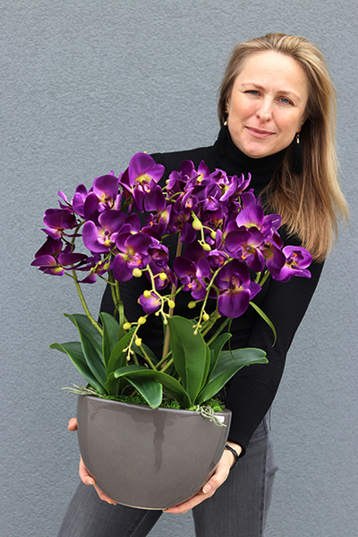 Purple Rain, fioletowy storczyk w antracytowej donicy, wys.60cm