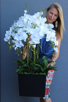 gęsty sztuczny storczyk Mediolan w czarnym wkładzie do donicy, wys.110cm