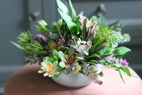 kompozycja sukulenty, Różowa Mgła, wys.25cm