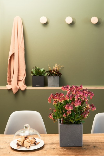 Canto Stone, elegancka donica z nawadnianiem, szara, wym.30x30cm