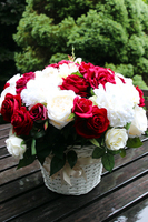 bardzo bogaty kosz z różami Exclusive Roses Pologne wys.46cm