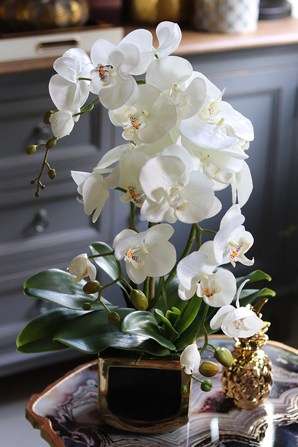 Black&Gold Prima, elegancki storczyk w ceramicznej donicy, wys.52cm