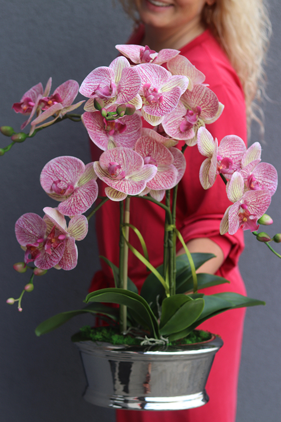 gumowy różowy storczyk w lustrzanej donicy, Felicia, wys.57cm