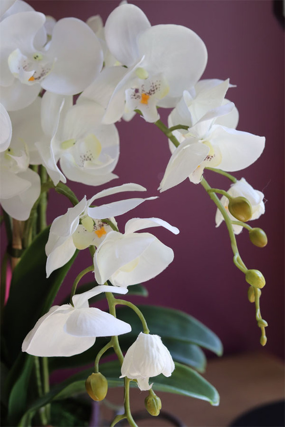 Tellonea Silver, sztuczny storczyk w lustrzanej donicy, wys.51cm